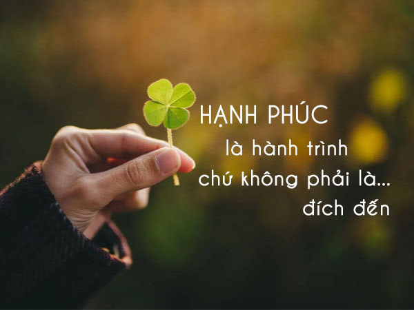 di-tim-hanh-phuc-ca-doi-nhung-nhieu-nguoi-van-chua-hieu-hanh-phuc-la-gi-4-voh