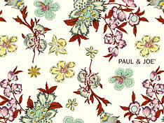 すべての美しい花の画像 ラブリーpaul Joe 壁紙