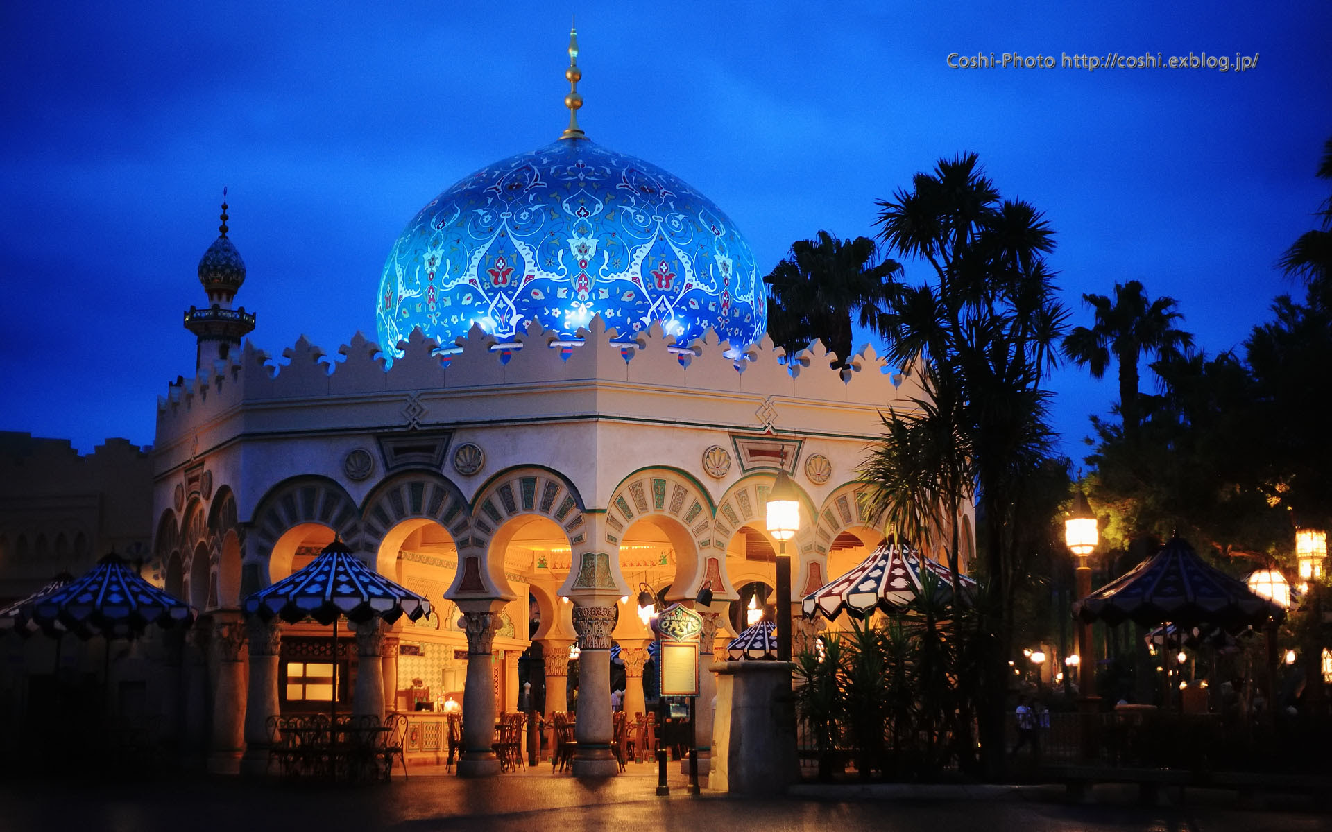 綺麗な待ち受け ディズニー 夜景 壁紙 最高の花の画像