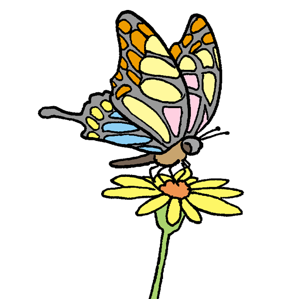 美しい花の画像 75 イラスト 蝶 花