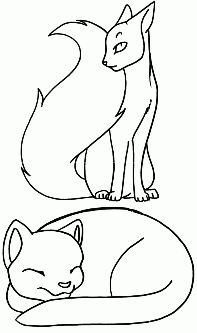 Images Of Cute Warrior Cat Couple Base