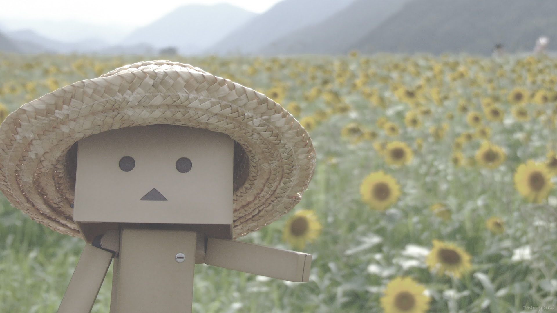 50 ダンボー 壁紙 Pc 花の画像