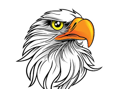 Logo vector eagle head 180110