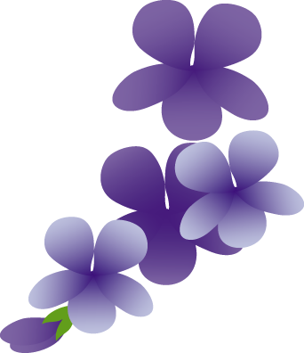 Hd限定すみれ 花 写真 最高の花の画像