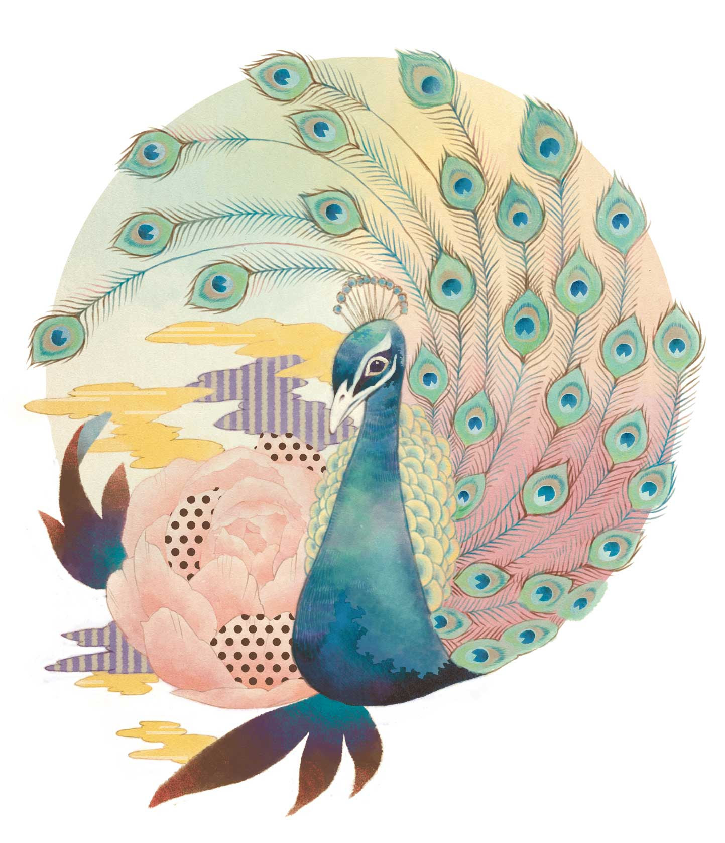無料印刷可能 クジャク イラスト Gbrjpdinda
