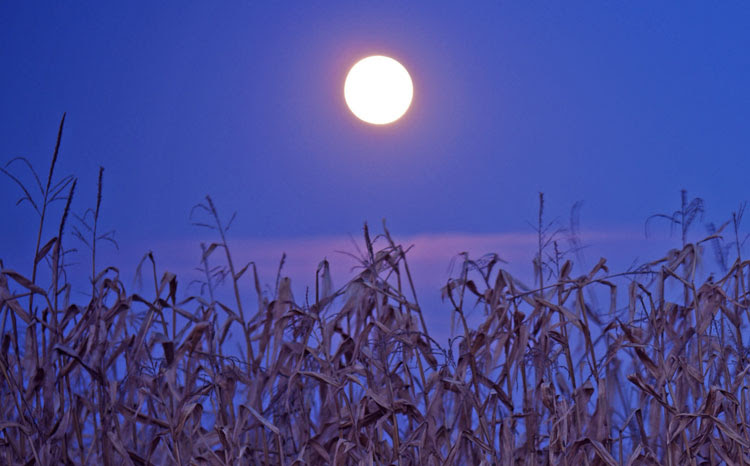 Corn Moon, Harvest Moon, Full Moon in Pisces