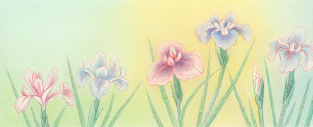 5 が つの 花 イラスト Sunjpgazo