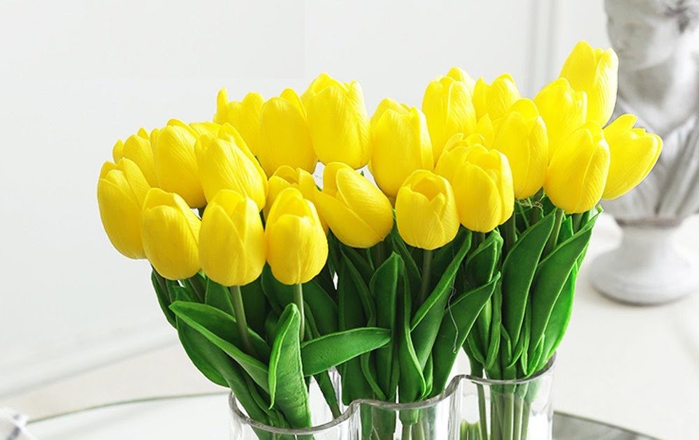 30+ Gambar Bunga Tulip Warna Kuning Paling Modern Dan Nyaman