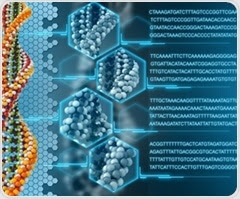 Obesity linked to increased DNA damage in breast epithelium of BRCA mutation carriers