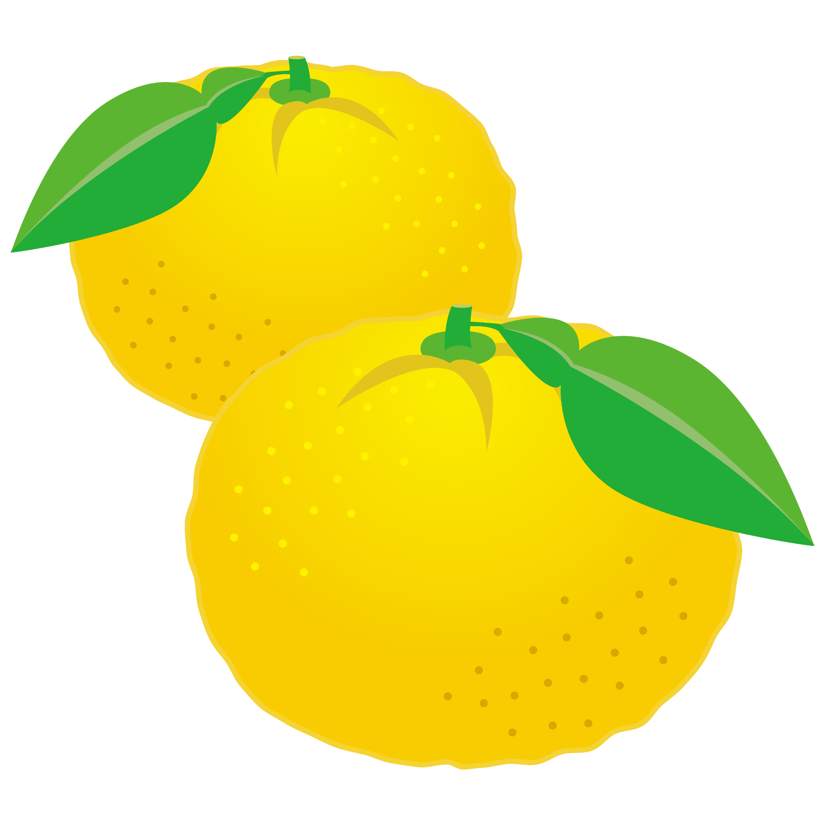 美しい花の画像 ロイヤリティフリー柚子 イラスト おしゃれ