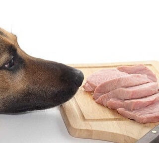 We support our blogging by participating in affiliate programs. Can Dogs Eat Pork Benefits Faqs Answered