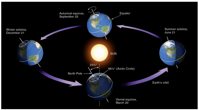 Wow 30 Gambar Animasi Matahari Bulan Dan Bintang 