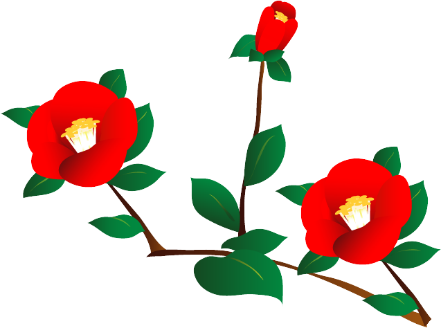 椿 イラスト 写真素材 フォトライブラリー