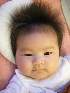 ぜいたく赤ちゃん 髪の毛 多い 髪型 自由 髪型 コレクション