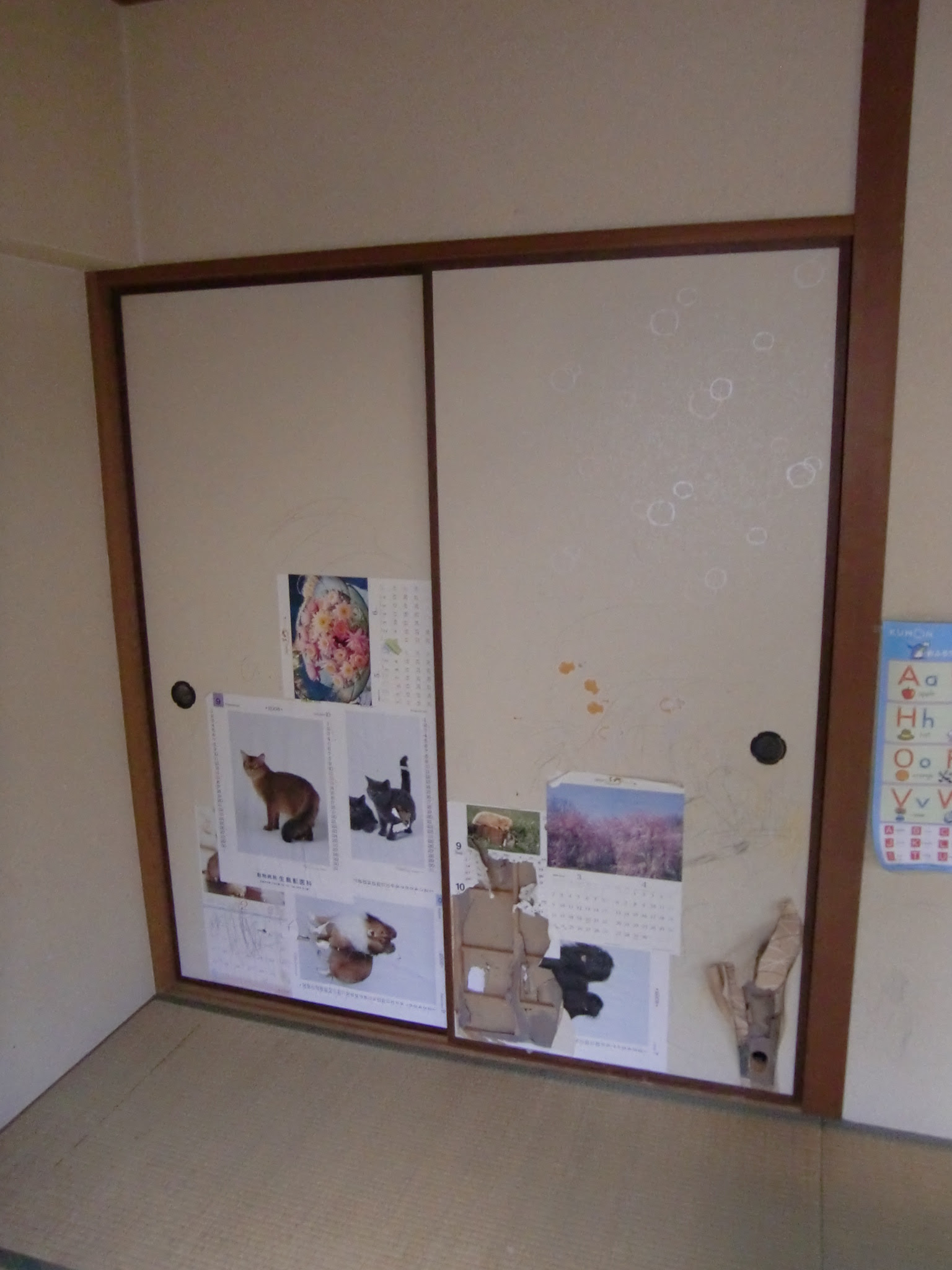 心に強く訴える襖 張替え 壁紙 最高の花の画像