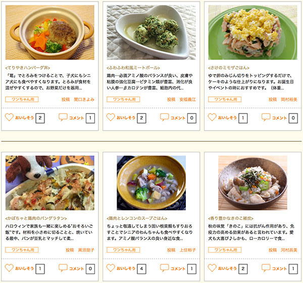 犬 腎臓 病 食事 レシピ Hallgoodkicks 食品コレクションの写真