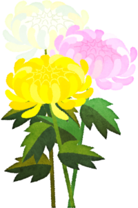 Hd限定菊 イラスト 無料 美しい花の画像