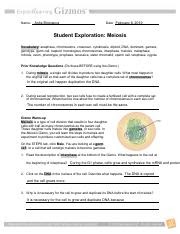 Meiosis Gizmo Answer Key Student Exploration Period Of A Pendulum Answer Key Docx Student Exploration Period Of A Jewish Wedding Coloring Page Slip