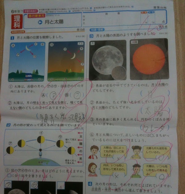 いろいろ 6 年 理科 食物 連鎖 小学生 シモネタ