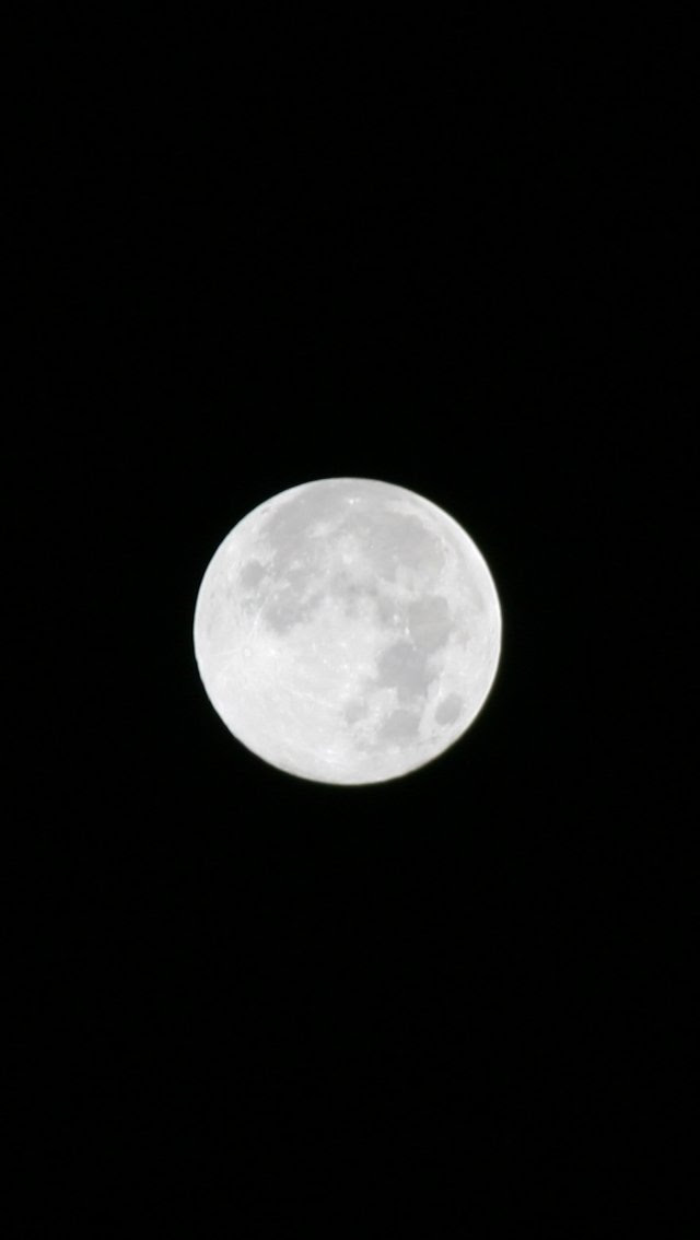 最高の満月 壁紙 Iphone 花の画像