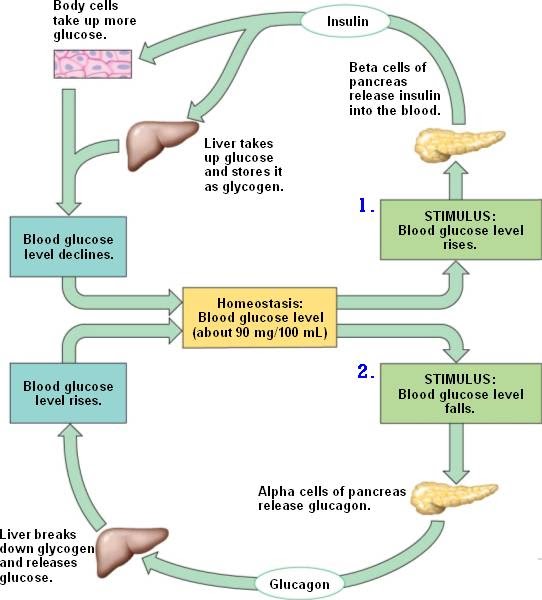 diabetes insipidus symptoms and treatment Jackson MS