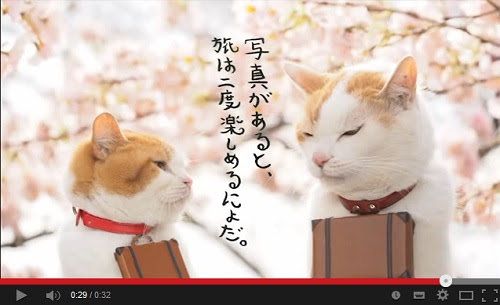 にゃらん 壁紙