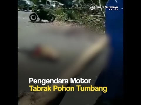 Viral News Creditjuggbec
