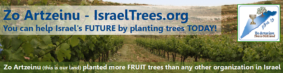 trees-banner-1