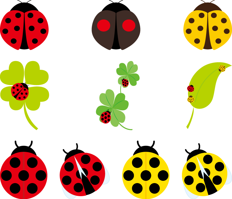 美しい花の画像 元のてんとう虫 イラスト 無料
