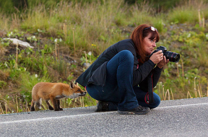 Nature                                                          Photographer