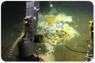 Microbiologists discover ethane-munching microbes in hot vents