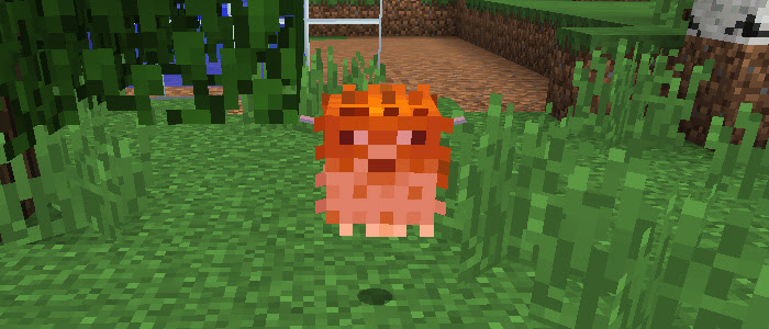 マイクラ フグ 増やす マインクラフトの最高のアイデア