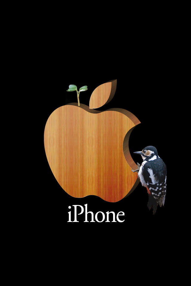 収束 公使館 否認する Iphone6 Apple 壁紙 Gfwccamphill Org