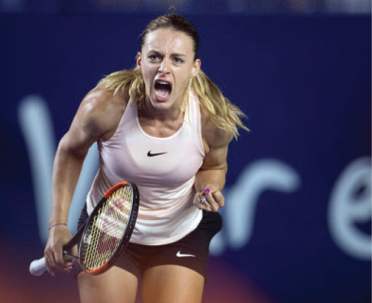 Ultimele stiri despre clasament wta si ana bogdan. Ana Bogdan Continues His Rise In The Wta Ranking