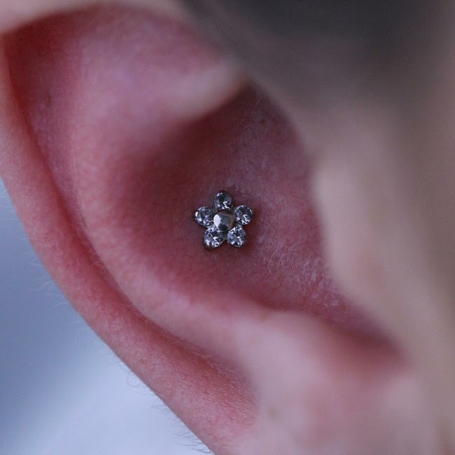 By gildedangel · june 12, 2012 · 1 comments. Conch Piercing 50 Ideas Pain Level Healing Time Cost Experience Piercee