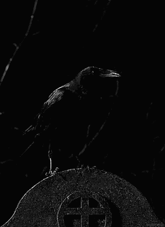 Gifs Juego Macabro / "El Juego Velas Negras" | ARTE ...