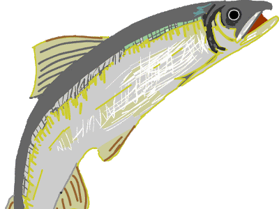 無料の動物画像 鮎 イラスト 簡単