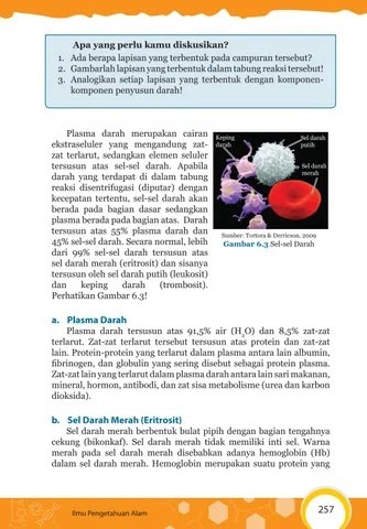 10. Bagian Darah Yang Cair Yang Tersusun Atas, Protein  