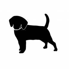ロイヤリティフリーダックスフンド イラスト 白黒 最高の動物画像