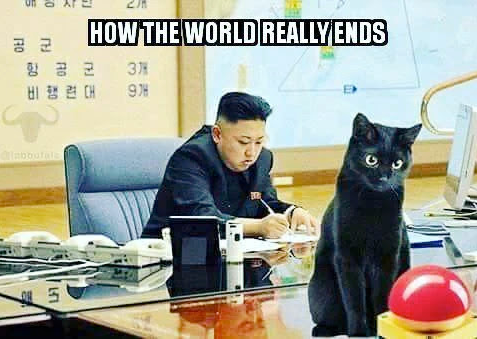 A meme of a black cat looking at the WWIII red button.