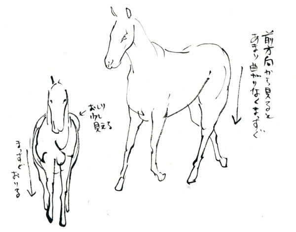 無料印刷可能正面 馬 イラスト リアル ただのディズニー画像