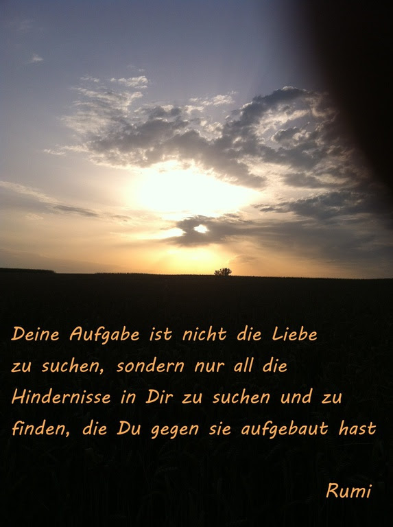 Dich Gefunden Zu Haben Sprüche