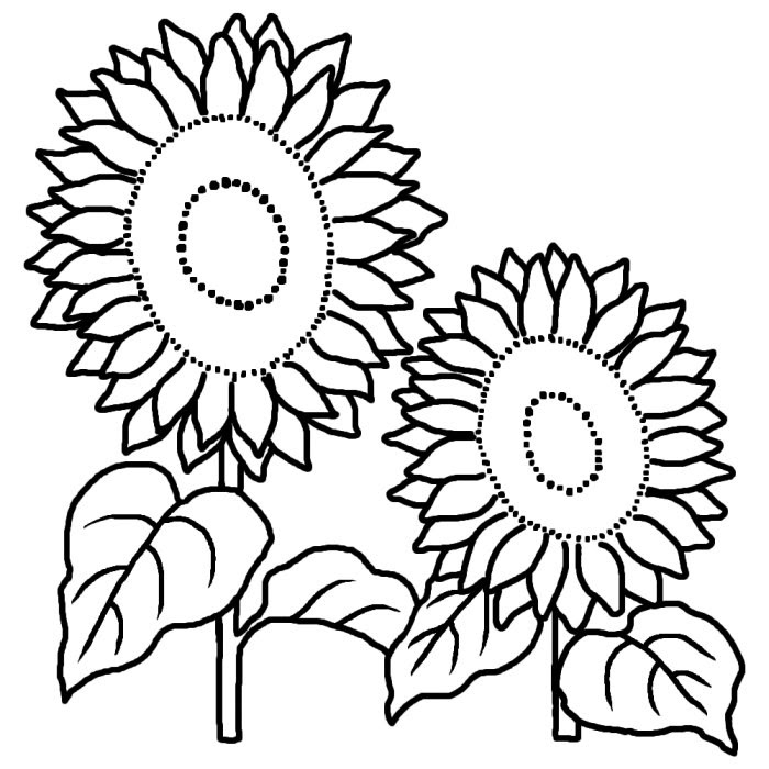 Japan Image 花 フリー素材 白黒