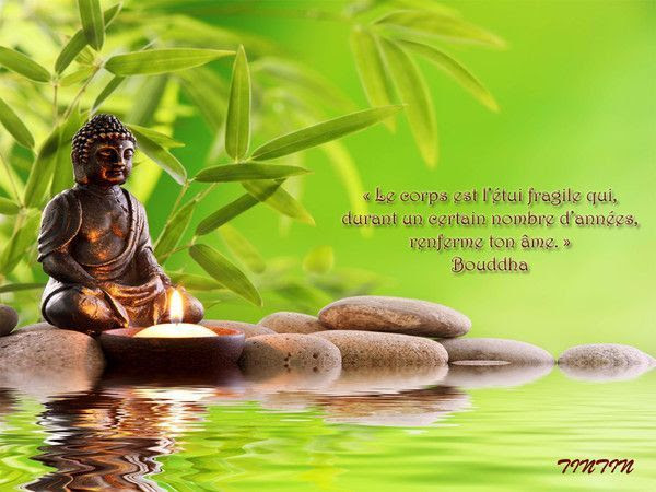 Carte Anniversaire Zen Gratuite Nanaryuliaortega News