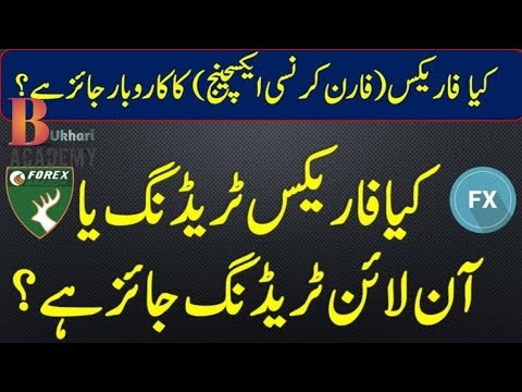 Is Day Trading Haram Or Halal / Is Leverage Forex trading business Haram or Halal? Islam ... - As binance saying on binance futures, the interest rate is fixed at 0.03% daily (0.01% per funding interval), with the exception of contracts such as bnbusdt, linkusdt, and ltcusdt, where interest rates are 0%.