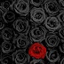 [10000ダウンロード済み√] 黒薔薇 壁紙 711353-黒薔薇 壁紙