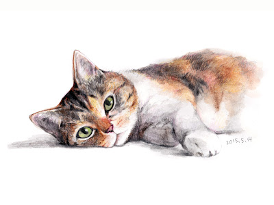 かわいい 猫 イラスト リアル 書き方 の最高のコレクション 無料イラスト集