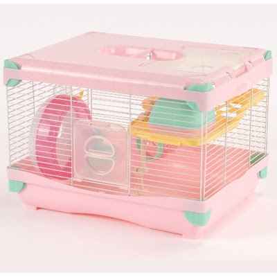 ラブリー可愛い ハムスター 家 最高の動物画像
