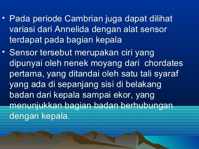 Contoh Sistem Pencernaan Hewan  Invertebrata Contoh SR