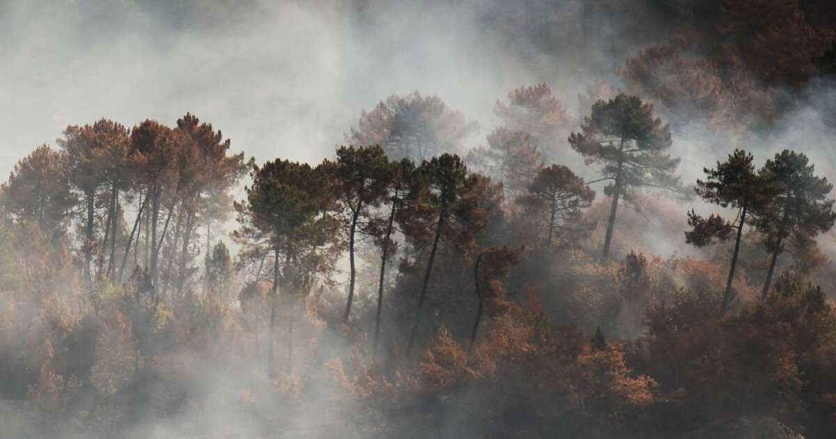 Nouvelle vague de chaleur : « Très fort danger d’incendies », prévient Météo-France